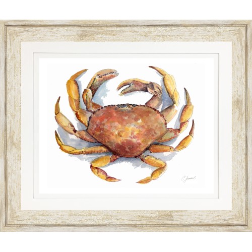 CL- DUNGENESS CRAB